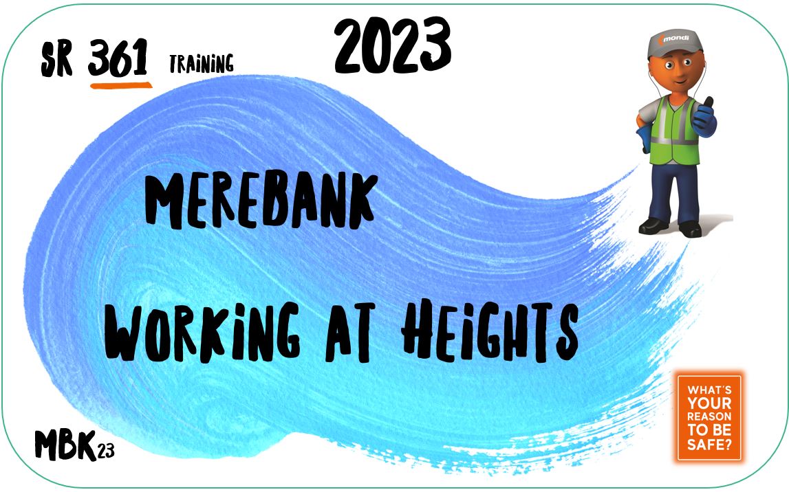 SR361 Working At Heights